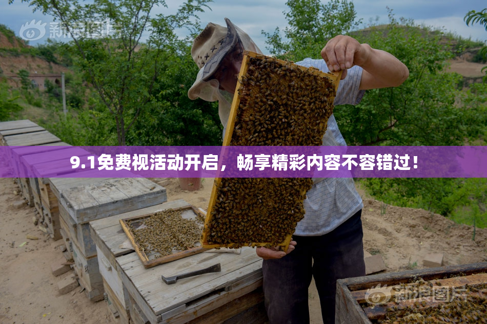 9.1免费视活动开启，畅享精彩内容不容错过！