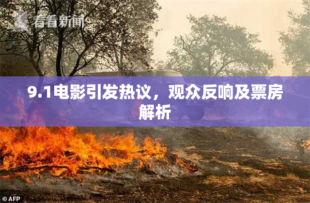9.1电影引发热议，观众反响及票房解析