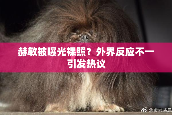 赫敏被曝光裸照？外界反应不一引发热议