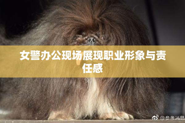 女警办公现场展现职业形象与责任感