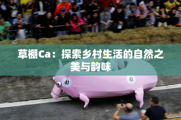 草棚Ca：探索乡村生活的自然之美与韵味