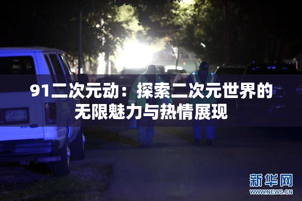 91二次元动：探索二次元世界的无限魅力与热情展现