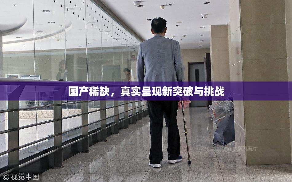 国产稀缺，真实呈现新突破与挑战