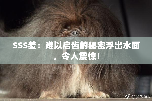 SSS羞：难以启齿的秘密浮出水面，令人震惊！
