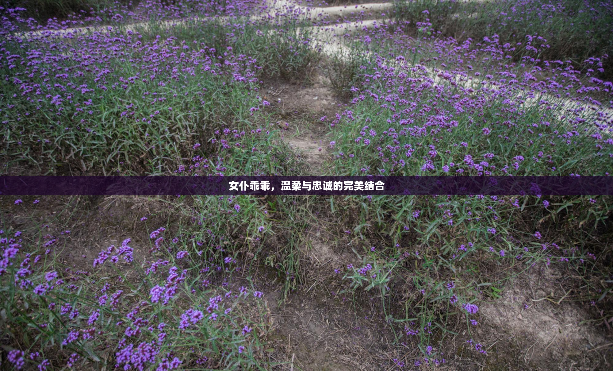 女仆乖乖，温柔与忠诚的完美结合