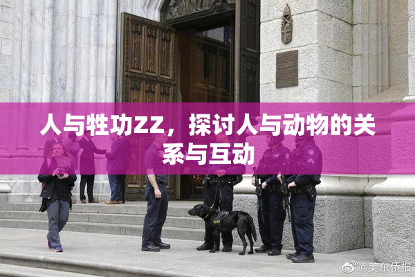 人与牲功ZZ，探讨人与动物的关系与互动