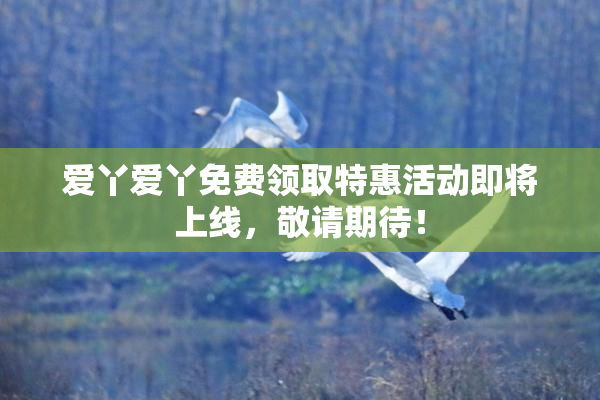 爱丫爱丫免费领取特惠活动即将上线，敬请期待！