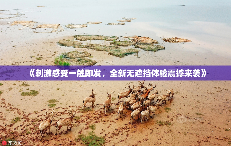 《刺激感受一触即发，全新无遮挡体验震撼来袭》