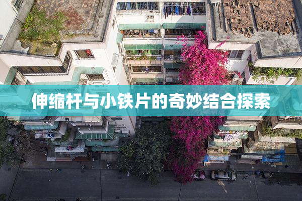 伸缩杆与小铁片的奇妙结合探索