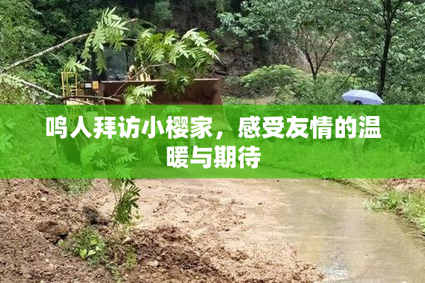 鸣人拜访小樱家，感受友情的温暖与期待