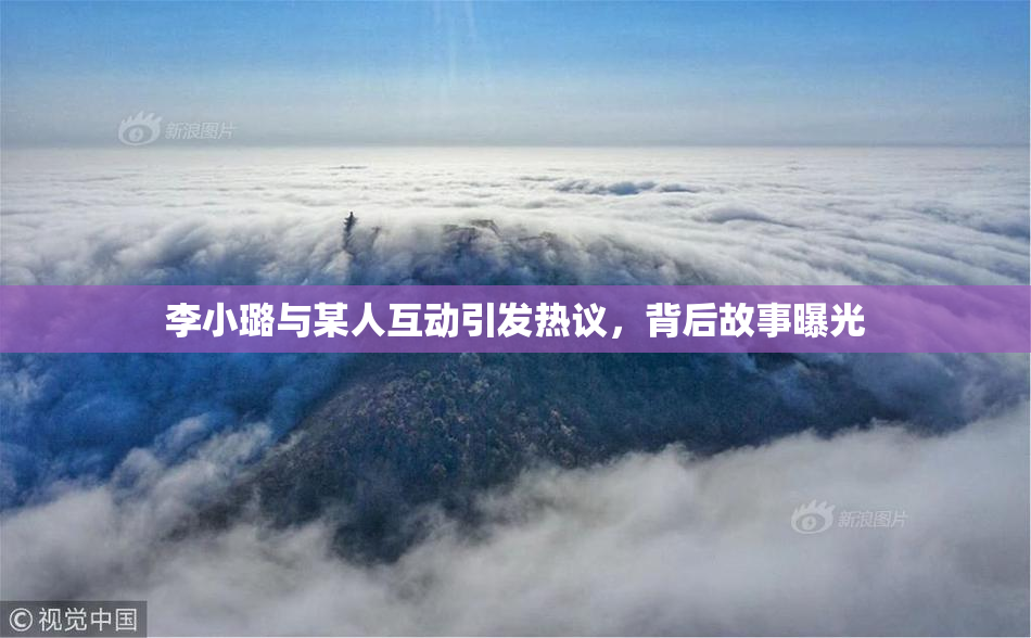 李小璐与某人互动引发热议，背后故事曝光