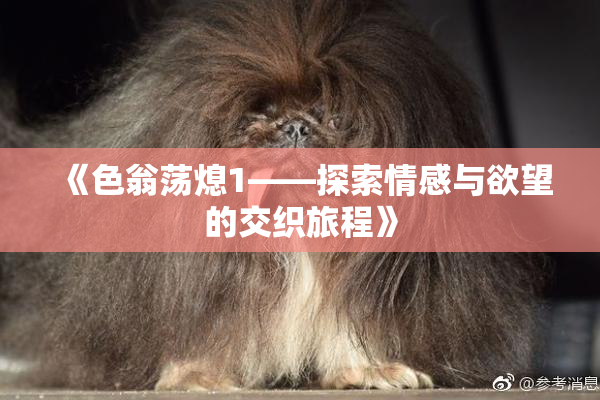 《色翁荡熄1——探索情感与欲望的交织旅程》