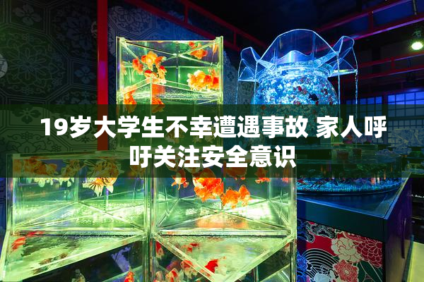 19岁大学生不幸遭遇事故 家人呼吁关注安全意识