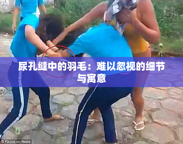 尿孔缝中的羽毛：难以忽视的细节与寓意