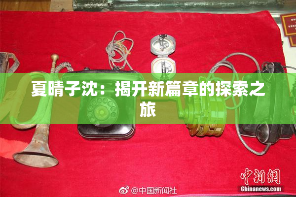 夏晴子沈：揭开新篇章的探索之旅