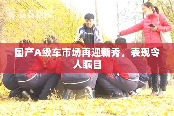 国产A级车市场再迎新秀，表现令人瞩目