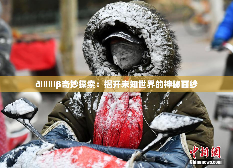 👙β奇妙探索：揭开未知世界的神秘面纱