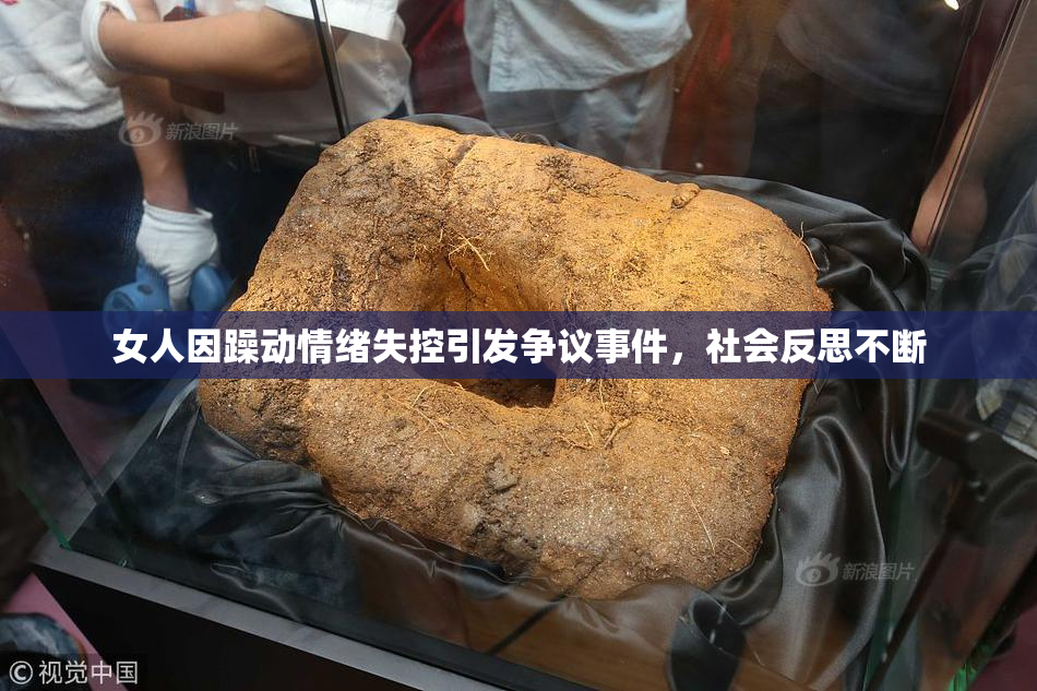 女人因躁动情绪失控引发争议事件，社会反思不断