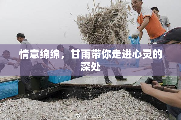 情意绵绵，甘雨带你走进心灵的深处