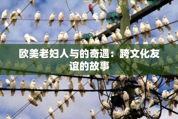 欧美老妇人与的奇遇：跨文化友谊的故事