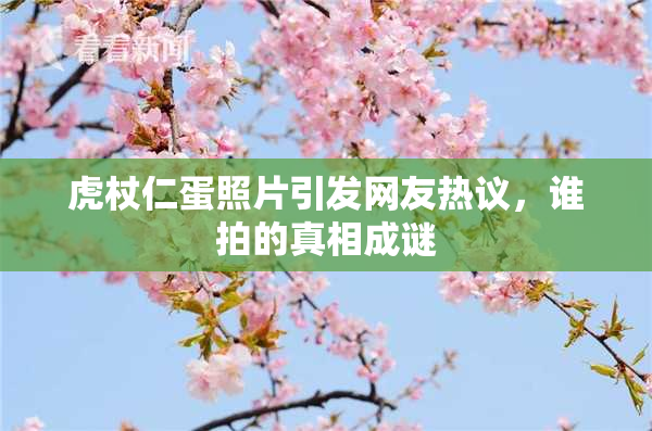 虎杖仁蛋照片引发网友热议，谁拍的真相成谜