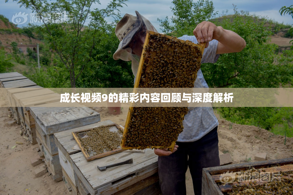 成长视频9的精彩内容回顾与深度解析