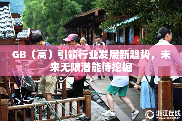 GB（高）引领行业发展新趋势，未来无限潜能待挖掘