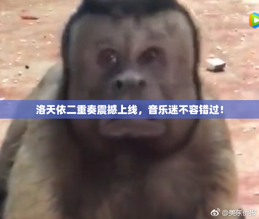 洛天依二重奏震撼上线，音乐迷不容错过！