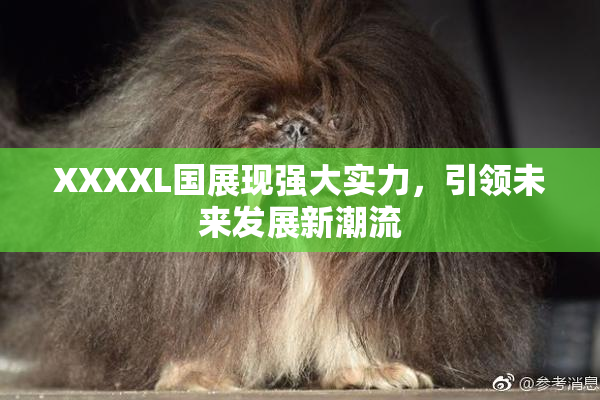 XXXXL国展现强大实力，引领未来发展新潮流