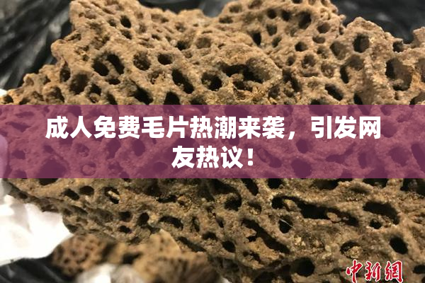 成人免费毛片热潮来袭，引发网友热议！