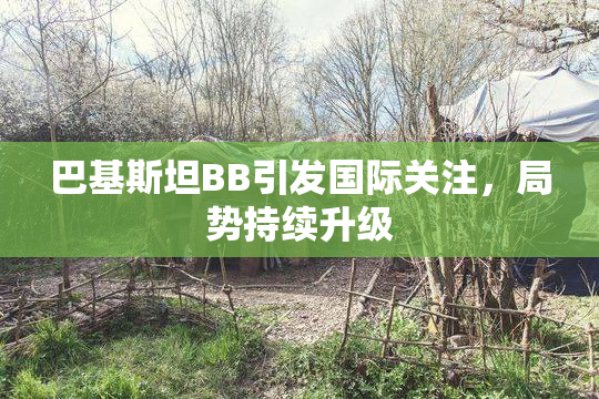 巴基斯坦BB引发国际关注，局势持续升级