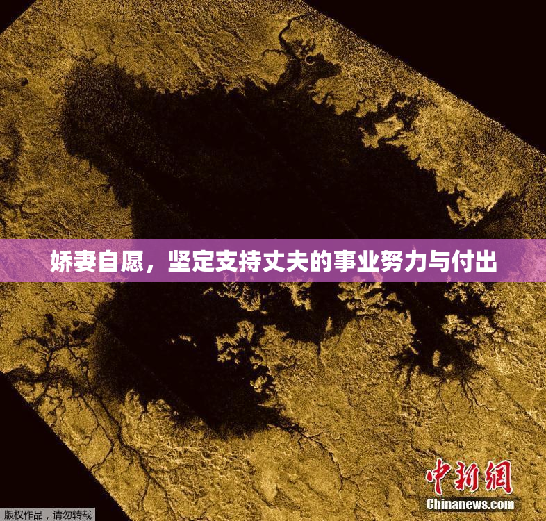 娇妻自愿，坚定支持丈夫的事业努力与付出