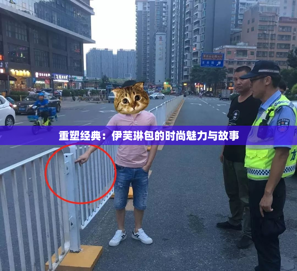 重塑经典：伊芙琳包的时尚魅力与故事