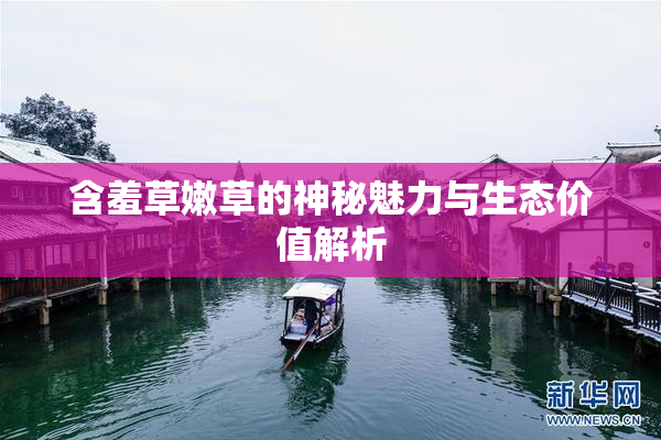 含羞草嫩草的神秘魅力与生态价值解析