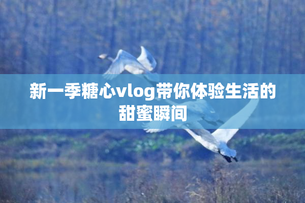 新一季糖心vlog带你体验生活的甜蜜瞬间