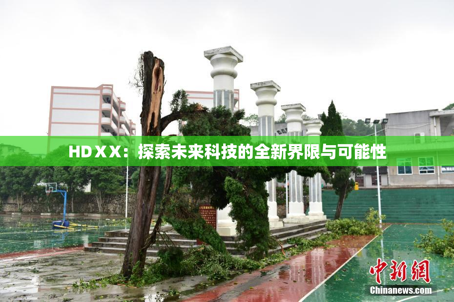 HDⅩX：探索未来科技的全新界限与可能性