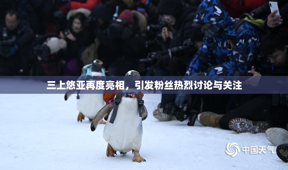 三上悠亚再度亮相，引发粉丝热烈讨论与关注