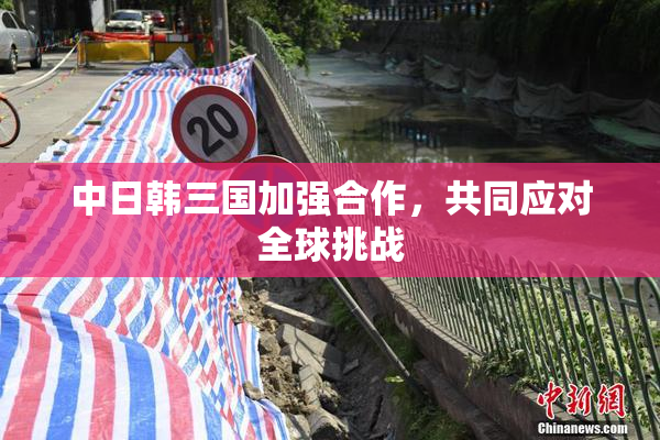 中日韩三国加强合作，共同应对全球挑战