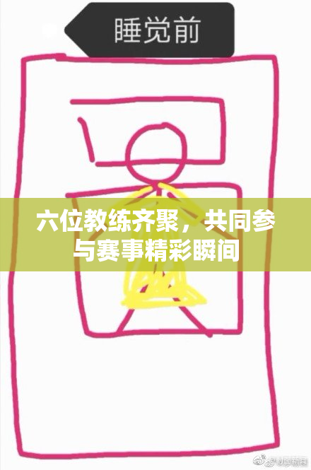 六位教练齐聚，共同参与赛事精彩瞬间