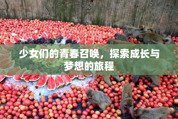 少女们的青春召唤，探索成长与梦想的旅程