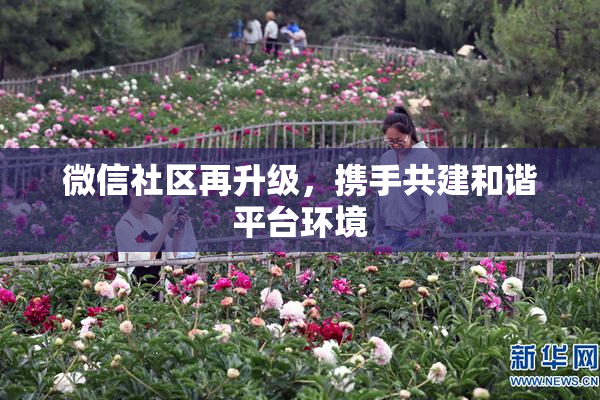 微信社区再升级，携手共建和谐平台环境