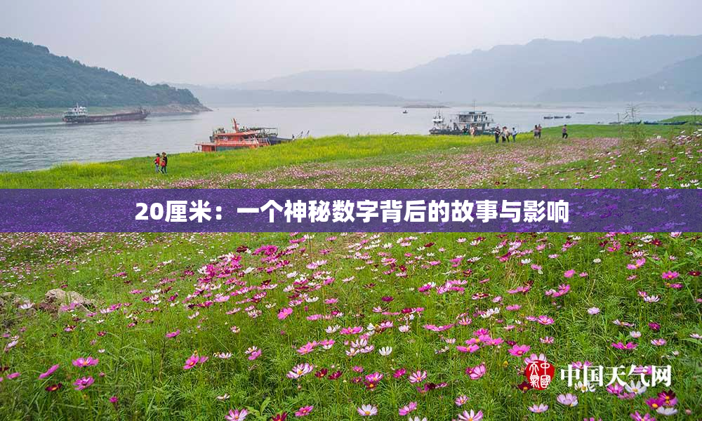 20厘米：一个神秘数字背后的故事与影响