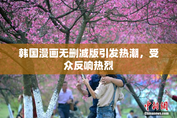 韩国漫画无删减版引发热潮，受众反响热烈