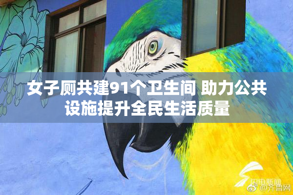 女子厕共建91个卫生间 助力公共设施提升全民生活质量