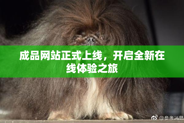 成品网站正式上线，开启全新在线体验之旅