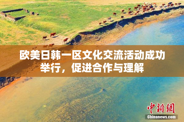 欧美日韩一区文化交流活动成功举行，促进合作与理解
