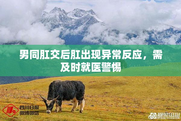 男同肛交后肛出现异常反应，需及时就医警惕