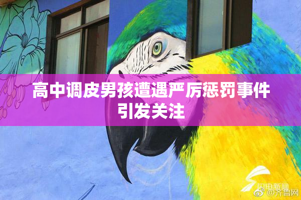 高中调皮男孩遭遇严厉惩罚事件引发关注