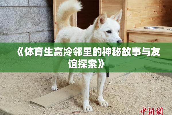 《体育生高冷邻里的神秘故事与友谊探索》