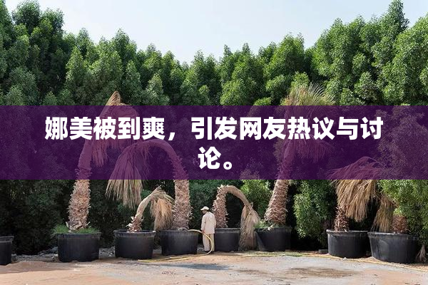 娜美被到爽，引发网友热议与讨论。